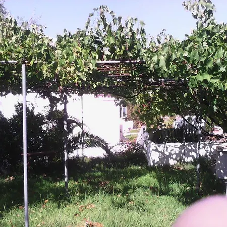 Dina's * Mesongí